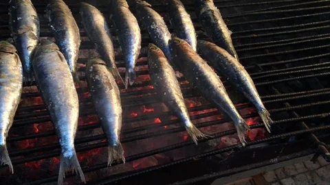 Grilled sardines on the fire Stock Footage 91748225