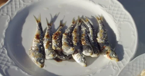 Grilled sardines Stock-Footage 192265278