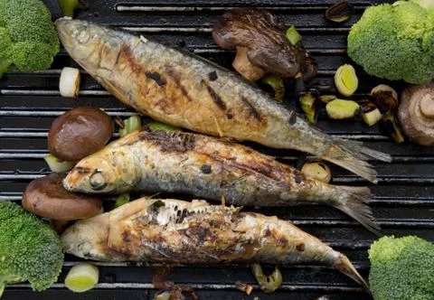 Grilled sardines Stock Photos