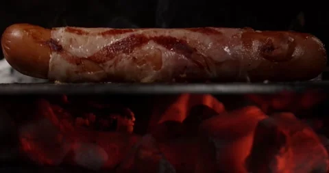 Grilled Sausage Is Fried On Coals. Stock Footage 143566623