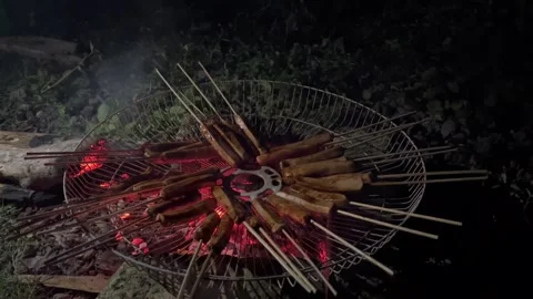 Grilled sausages using a traditional fire pit Stock Footage 296729677