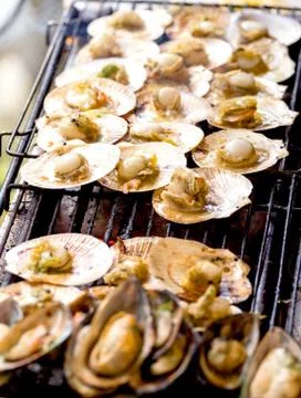 Grilled scallops on the grill Stock Photos