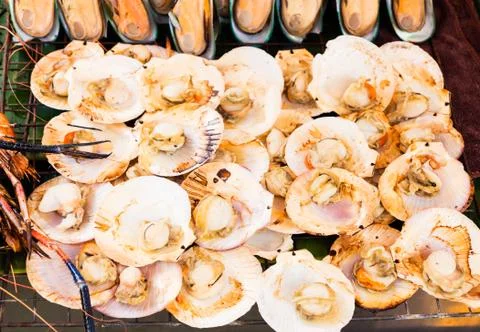 Grilled scallops Stock Photos