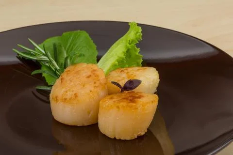 Grilled scallops Stock Photos