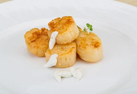 Grilled scallops Stock Photos