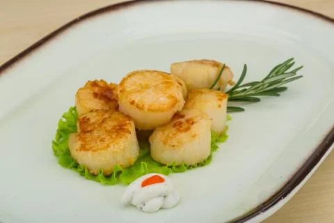 Grilled scallops Stock Photos