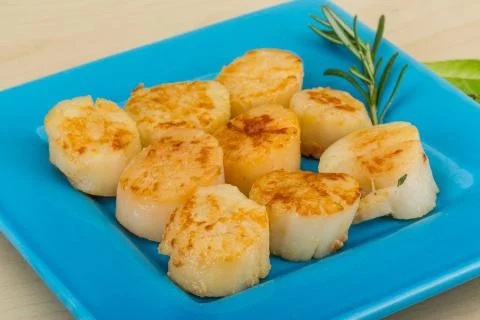 Grilled scallops Stock Photos