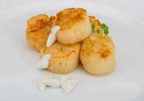Grilled scallops Stock Photos