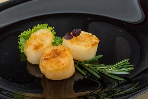 Grilled scallops Stock Photos
