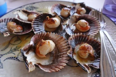 Grilled scallops served on shells, seafood gourmet dish 库存照片