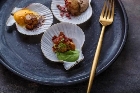 Grilled scallops shell with puree, close view, restaurant dish Stock Photos