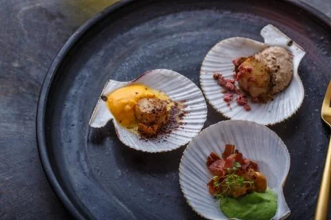 Grilled scallops shell with puree, close view, restaurant dish Stock Photos