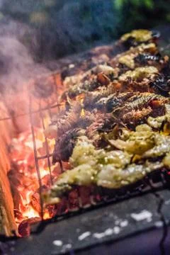 Grilled Scampi on the BBQ Stock Photos