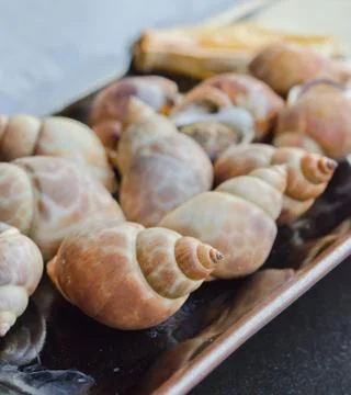 Grilled shell Stockfoto's