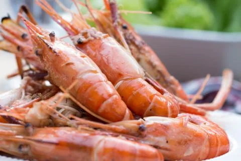 Grilled shrimp. Stock Photos