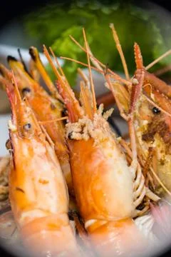 Grilled shrimp. Stock Photos