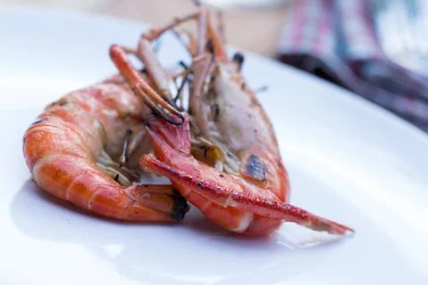 Grilled shrimp. Stock Photos