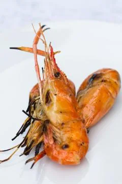 Grilled shrimp Stock Photos