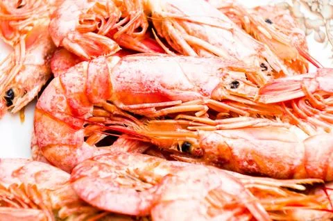 Grilled shrimp Stock Photos
