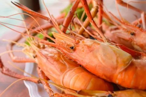 Grilled shrimp Stock-Fotos