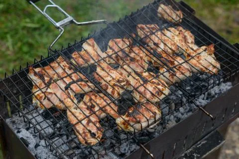 Grilled skewers of pork meat and smoke. Stock Photos