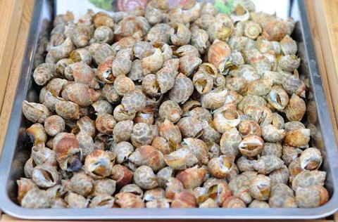 Grilled Snails on a Tray Stock Photos