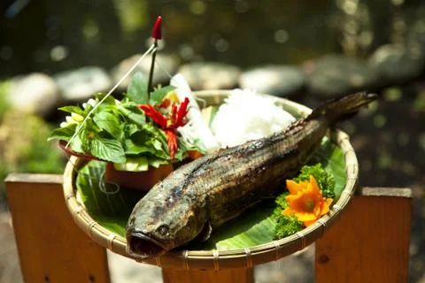 Grilled snake head fish Stock Photos