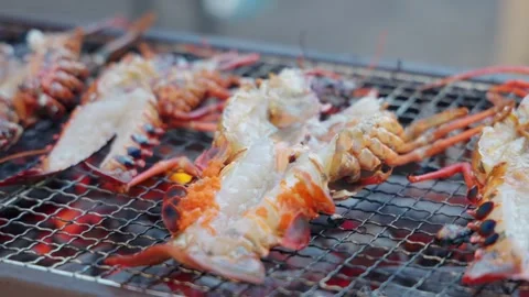 Grilled spiny lobster Stock Footage 320669834