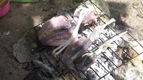 Grilled squid Stock Footage 241634074