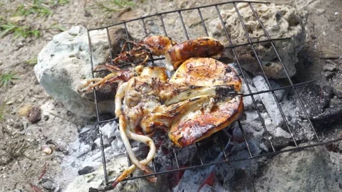 Grilled squid Stock Footage 241731311