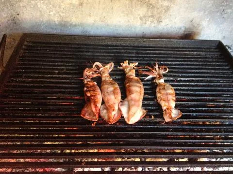 Grilled Squid on the Grill 스톡 사진