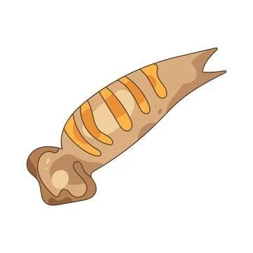 Grilled squid Stock Illustration