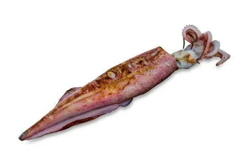 Grilled Squid Stock Photos