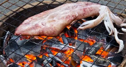 Grilled squid on the stove Stock Photos