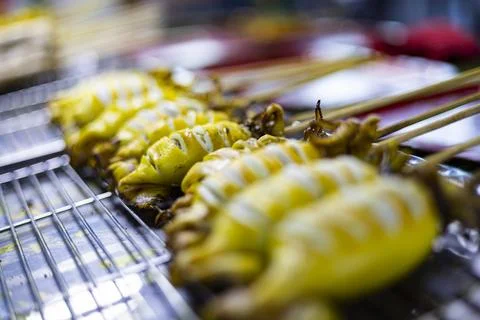 Grilled Squid On A Tray Stock Photos