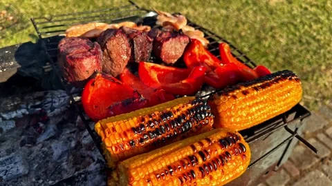 Grilled steak and roasted vegetables cooking over open coals at an outdoor Stock Footage 337500614