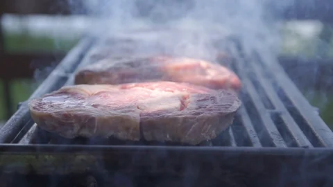 Grilled steaks on the barbecue Stock-Footage 95541975