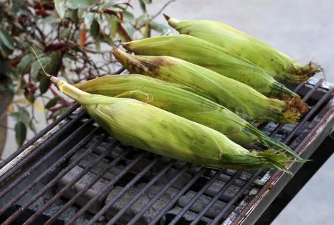 Grilled sweet corn Stock Photos
