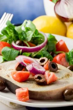 Grilled swordfish with mixed salad Stock Photos
