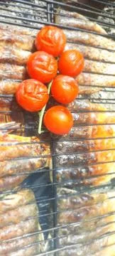 Grilled tomatoes Stock Photos