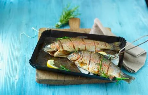 Grilled trout Stock Photos