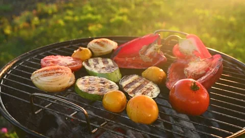 Grilled vegetables on background of green grass Stock Footage 139262330