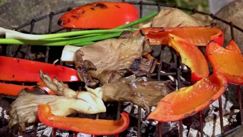 Grilled vegetables, cooking outdoors Stock Footage 152612949