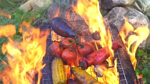 Grilled vegetables on the fire in nature Stock Footage 93578677