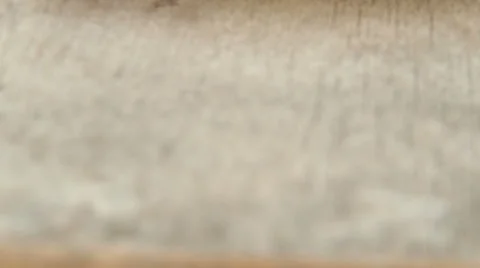 Grilled vegetables on the plate Stock Footage 59174319