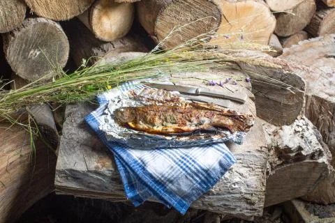 Grilled whole trout on an aluminium foil Stock Photos