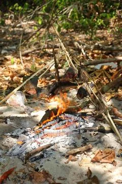 Grilled wild fire. Stock Photos