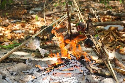 Grilled wild fire. Stock Photos