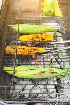 Grilled young corn, slightly burnt grilled green corn Foto stock