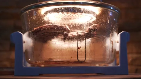 Grilling barbecue rib pork Video stock 133125155